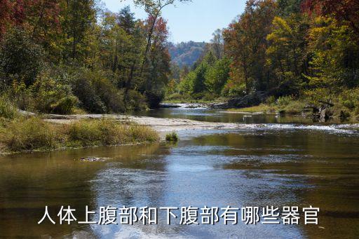 腹下部，腹部是指肚臍帶下部嗎