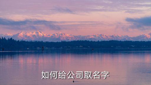 如何給公司取名字