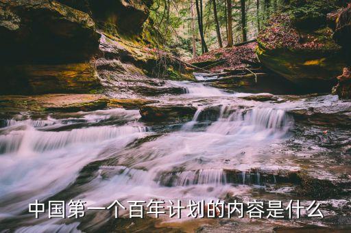 第一個百年奮斗目標，中國第一個百年計劃的內容是什么