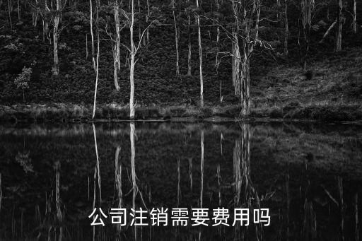 注銷公司多少錢，公司注銷需要費(fèi)用嗎