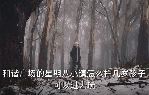 和諧廣場的星期八小鎮怎么樣幾歲孩子可以進去玩