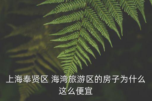 上海奉賢區 海灣旅游區的房子為什么這么便宜