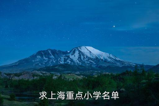 求上海重點小學名單