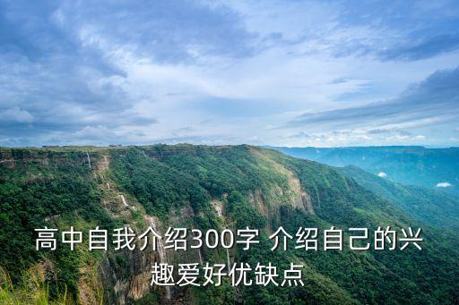 高中自我介紹300字 介紹自己的興趣愛好優缺點