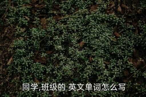 同學的英文,同班同學3同學同學與student不同之處