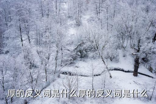 厚反義詞，厚的反義詞是什么厚的反義詞是什么