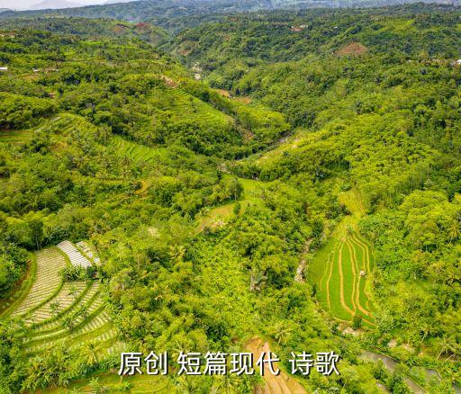 原創 短篇現代 詩歌
