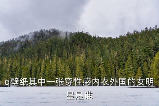 q壁紙其中一張穿性感內衣外國的女明星是誰