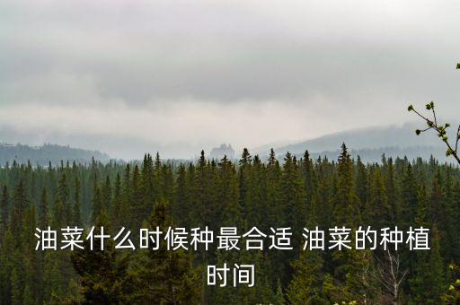  油菜什么時候種最合適 油菜的種植時間