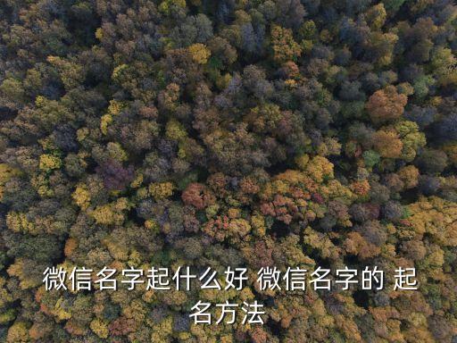微信起名,如何選擇好的微信名字?