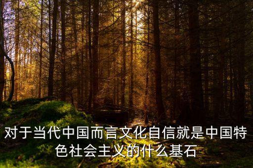 對于當代中國而言文化自信就是中國特色社會主義的什么基石