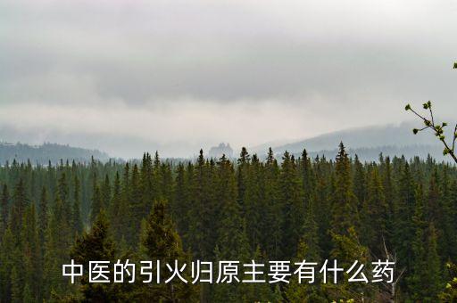 中醫(yī)的引火歸原主要有什么藥