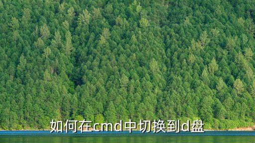 cd到d盤,導入cdd并回車如何切換到d盤
