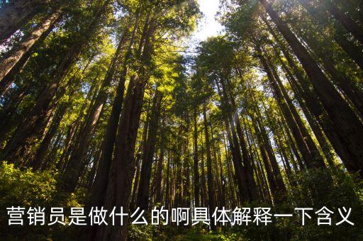 營銷員是做什么的啊具體解釋一下含義