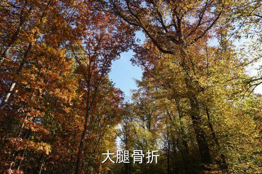 大腿骨折