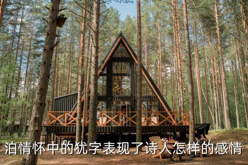 泊情懷中的猶字表現了詩人怎樣的感情