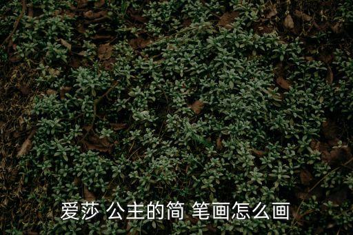 愛莎 公主的簡 筆畫怎么畫