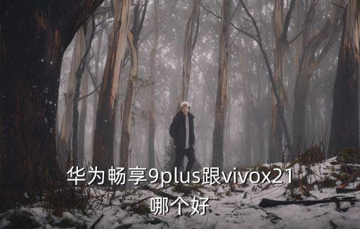 華為暢享9plus跟vivox21哪個好