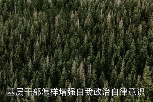 增強(qiáng)政治自覺，提高個(gè)人思想政治覺悟與養(yǎng)成良好道德素質(zhì)方面能采取什么措施