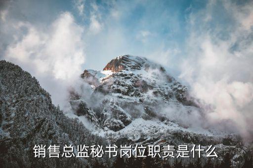 銷售秘書，星級酒店銷售秘書要做哪些工作