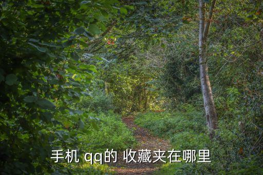 手機 qq的 收藏夾在哪里