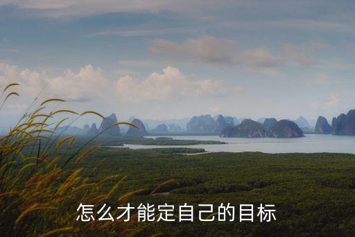 怎么才能定自己的目標