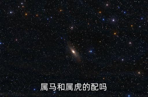 虎和馬合不合，屬馬和屬虎的配嗎