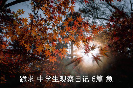 觀察日記兩則，觀察日記黃豆二則386字