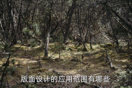 版面設(shè)計(jì)的應(yīng)用范圍有哪些