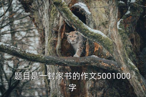 一封家書500字，給媽媽的一封信500字左右急