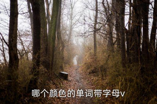 哪個顏色的單詞帶字母v