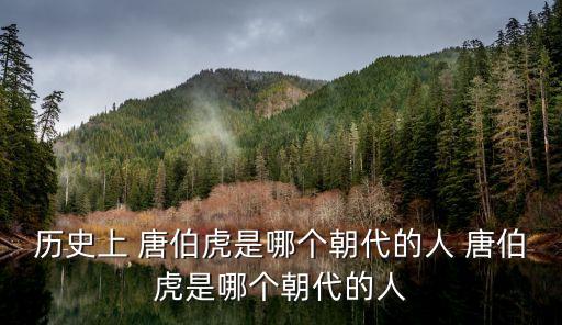 歷史上 唐伯虎是哪個朝代的人 唐伯虎是哪個朝代的人