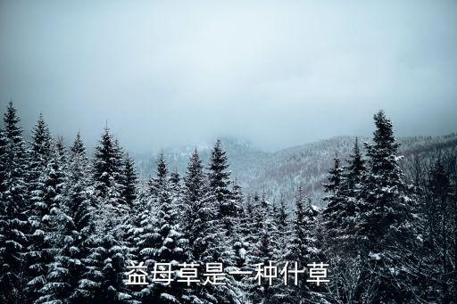 益母草是一種什草