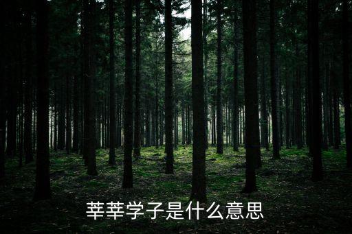 莘莘學子是什么意思
