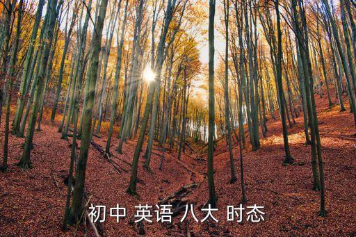 初中 英語 八大 時態