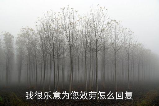 我很樂意為您效勞怎么回復(fù)