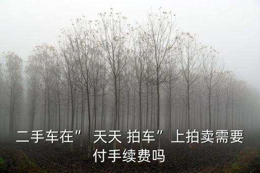 天天拍車,天天拍車承諾24小時(shí)內(nèi)給報(bào)價(jià)交手續(xù)費(fèi)1.5%