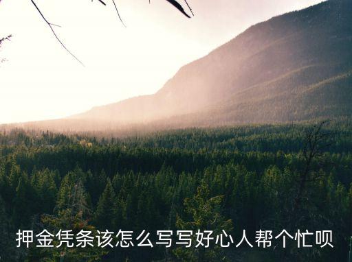 押金憑條該怎么寫寫好心人幫個忙唄