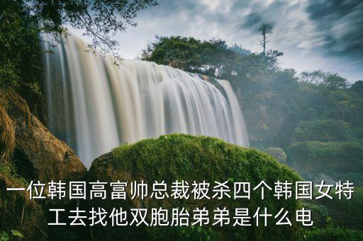 一位韓國高富帥總裁被殺四個韓國女特工去找他雙胞胎弟弟是什么電