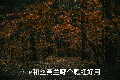  3ce和絲芙蘭哪個(gè)腮紅好用