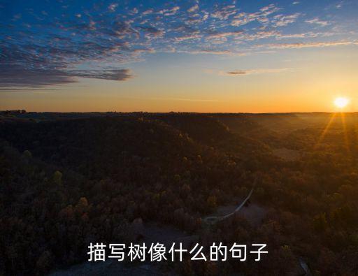 樹(shù)像什么，樹(shù)像什么