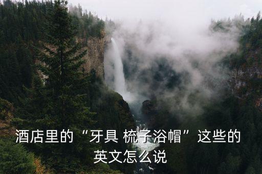 梳子英文,晨光|紙上風(fēng)云:互聯(lián)網(wǎng)使用英文更受歡迎