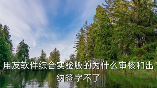 用友軟件綜合實驗版的為什么審核和出納簽字不了