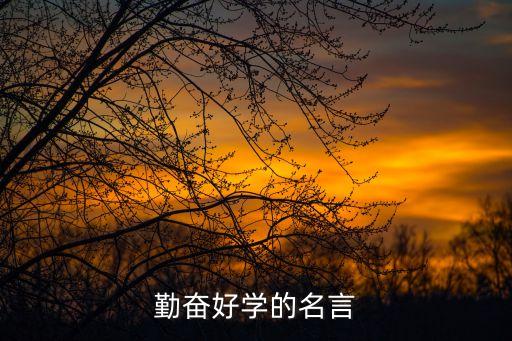 關(guān)于勤奮好學(xué)的名言警句，勤奮好學(xué)的名言
