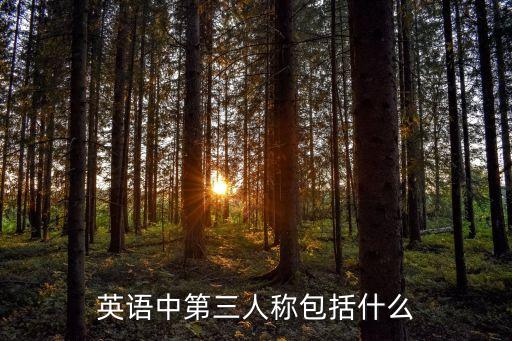 第三人稱英語，英語的第三人稱是什么
