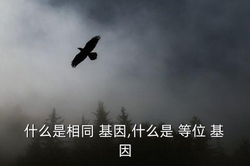 什么是相同 基因,什么是 等位 基因