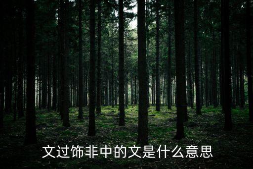  文過飾非中的文是什么意思