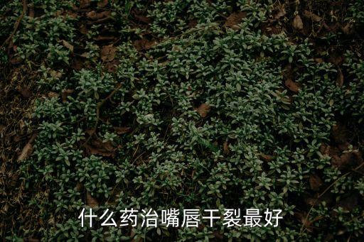 嘴唇干裂吃什么藥，嘴唇干裂用什么藥