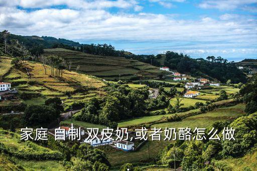 家庭 自制 雙皮奶,或者奶酪怎么做.