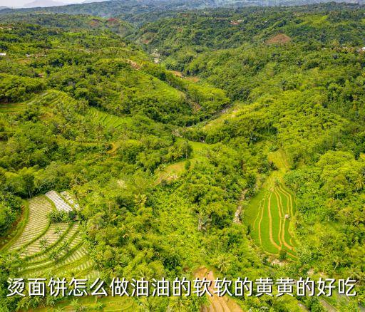 燙面餅怎么做油油的軟軟的黃黃的好吃